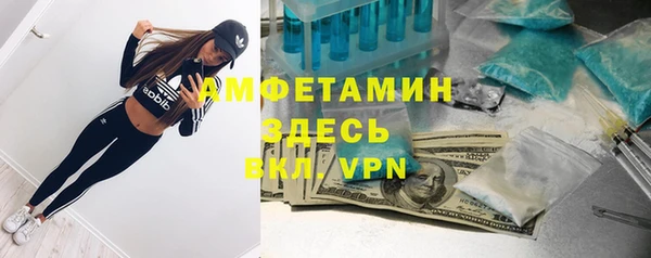 эйфоретик Бикин