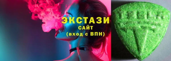 индика Няндома
