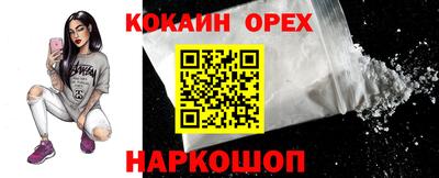 гашик Кандалакша