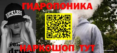 гашик Кандалакша