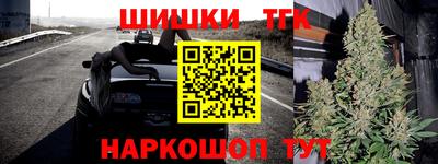 гашик Кандалакша
