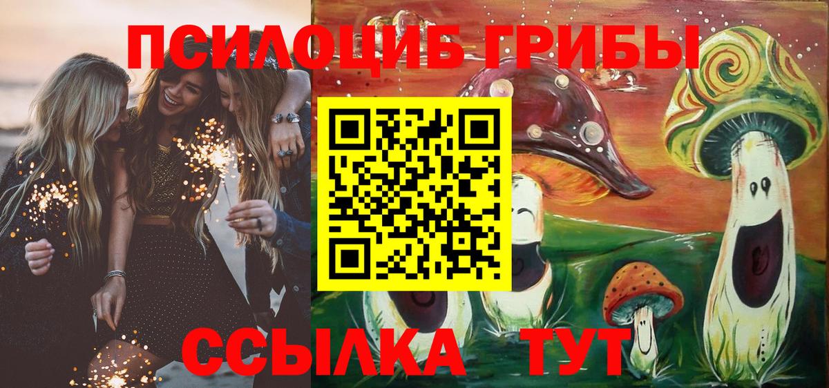Псилоцибиновые грибы ЛСД Пушкино